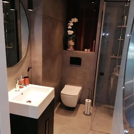 Wygoda Apartment *